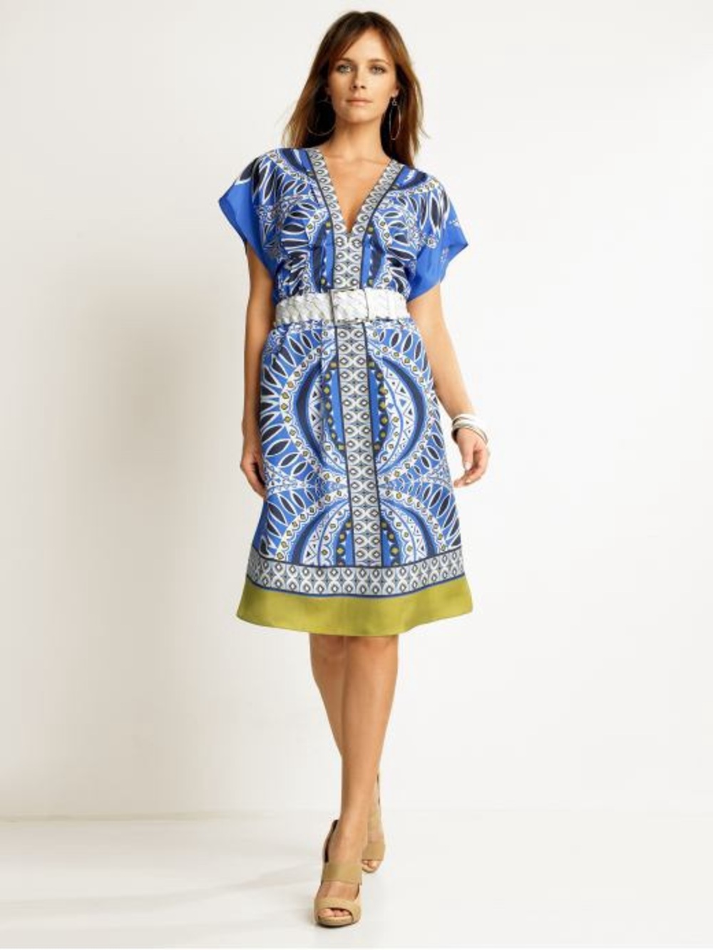 Banana Republic Silk Blue Printed V-Neck Dress